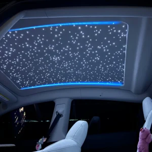 SmartVoice-ControlledStarrySunshadeforTeslaModelYYjunpier22-1