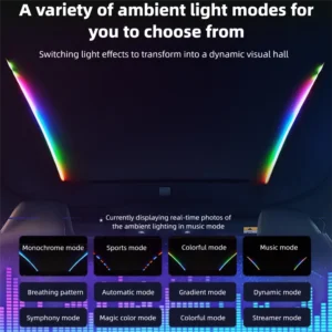 SmartVoice-ControlledStarrySunshadeforTeslaModelYYjunpier5-1