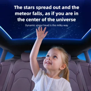 SmartVoice-ControlledStarrySunshadeforTeslaModelYYjunpier6-2