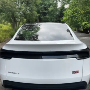 TeslaModelYJuniperCarbonFiberLowerTaillightApplique_RealMoldedDryCarbon_GlossorMatteFinish-1