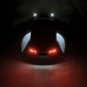 tesstudio_AngelWingCarLightProjectorForTeslaModelY_3_1000x_997dfd42-7f91-4547-9511-534bfcaefff2